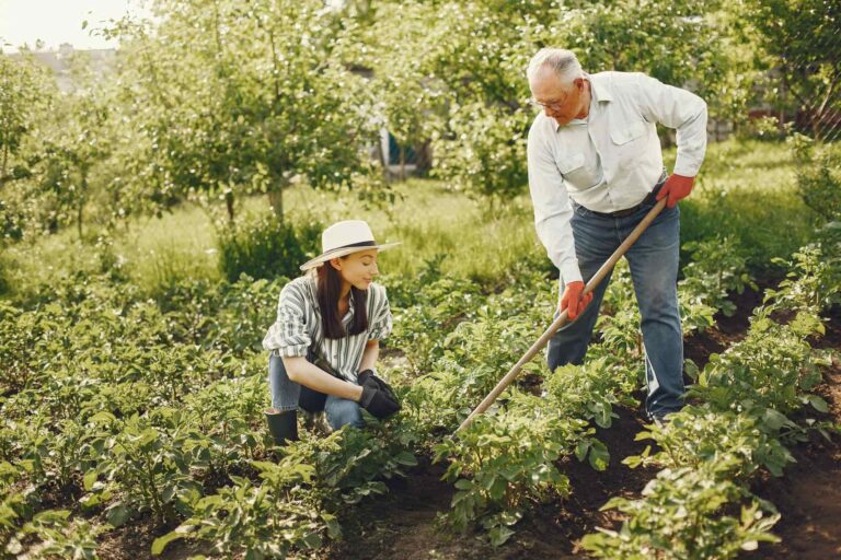 Permaculture et partage